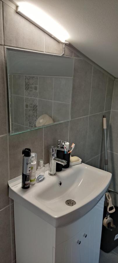Apartamento Мансардна Никол Vidin Exterior foto